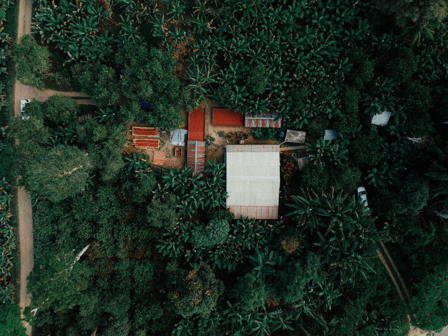 Aerial view of a farm